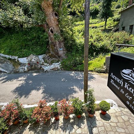 Λευκή Καμέλια Hotel Anilio Pelion Ngoại thất bức ảnh