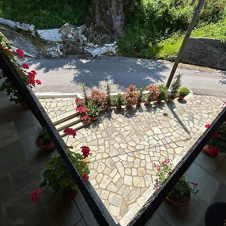 Λευκή Καμέλια Hotel Anilio Pelion Ngoại thất bức ảnh