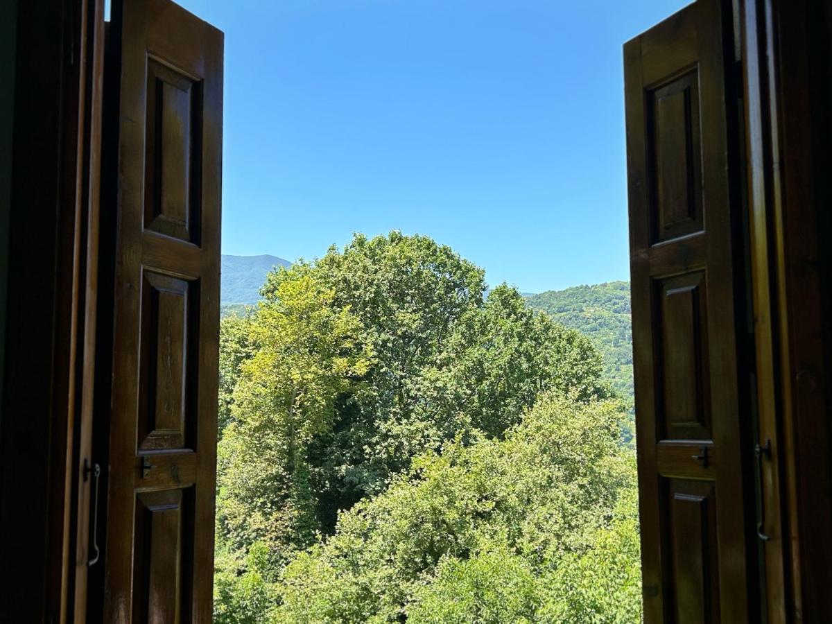 Λευκή Καμέλια Hotel Anilio Pelion Ngoại thất bức ảnh