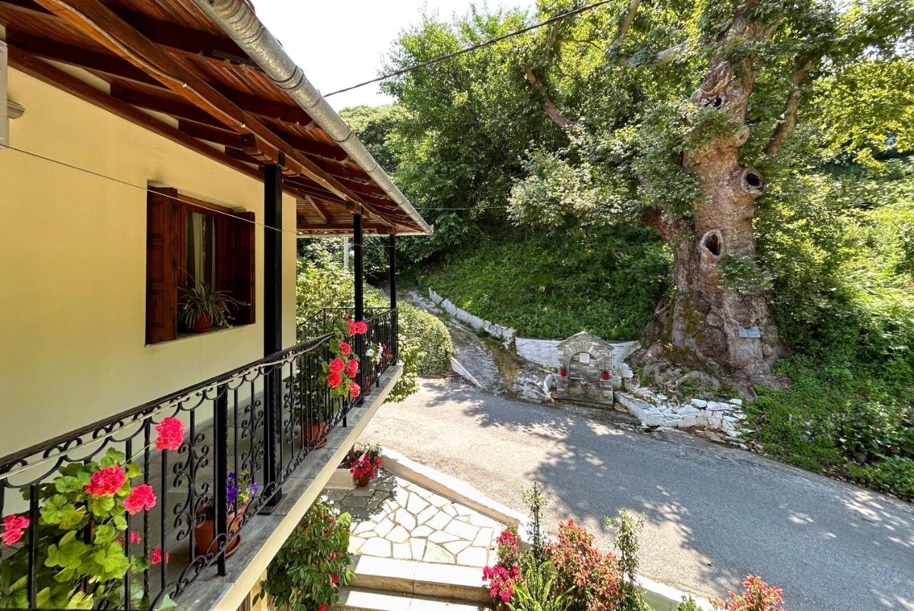 Λευκή Καμέλια Hotel Anilio Pelion Ngoại thất bức ảnh