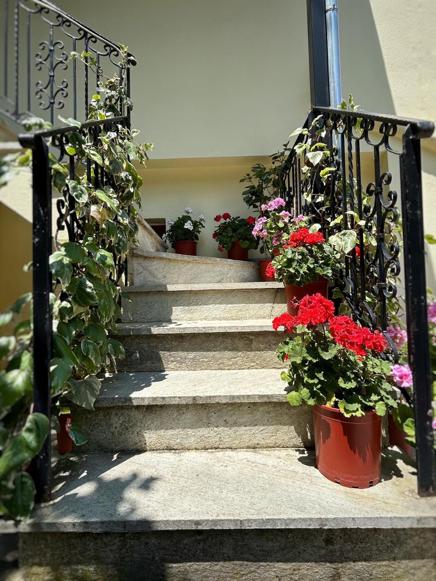 Λευκή Καμέλια Hotel Anilio Pelion Ngoại thất bức ảnh