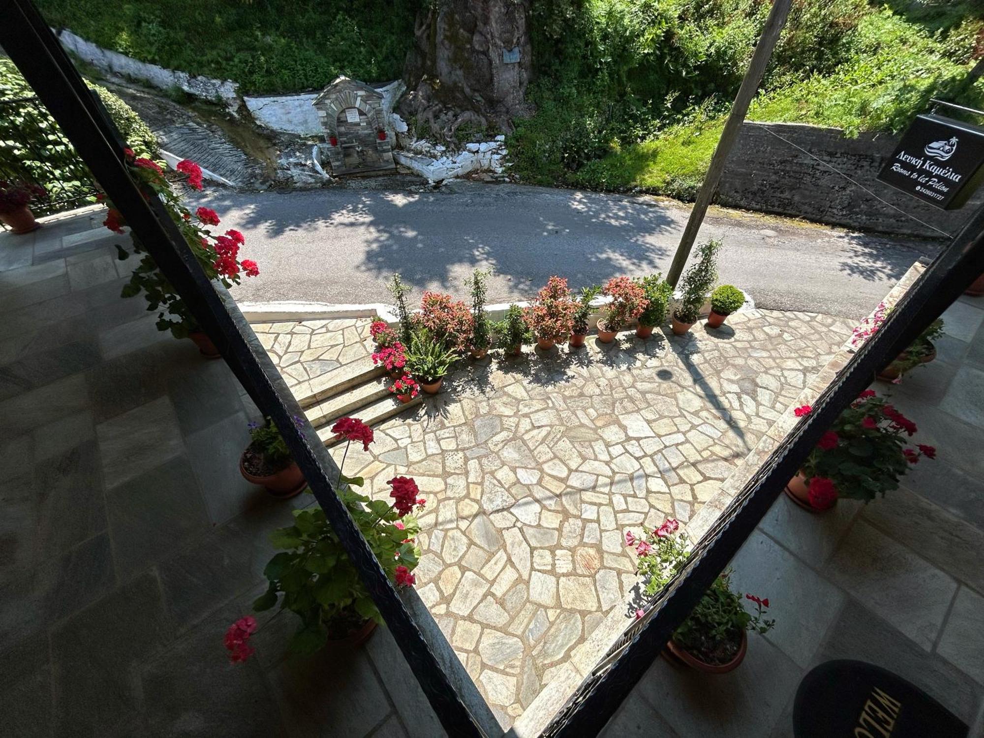 Λευκή Καμέλια Hotel Anilio Pelion Ngoại thất bức ảnh