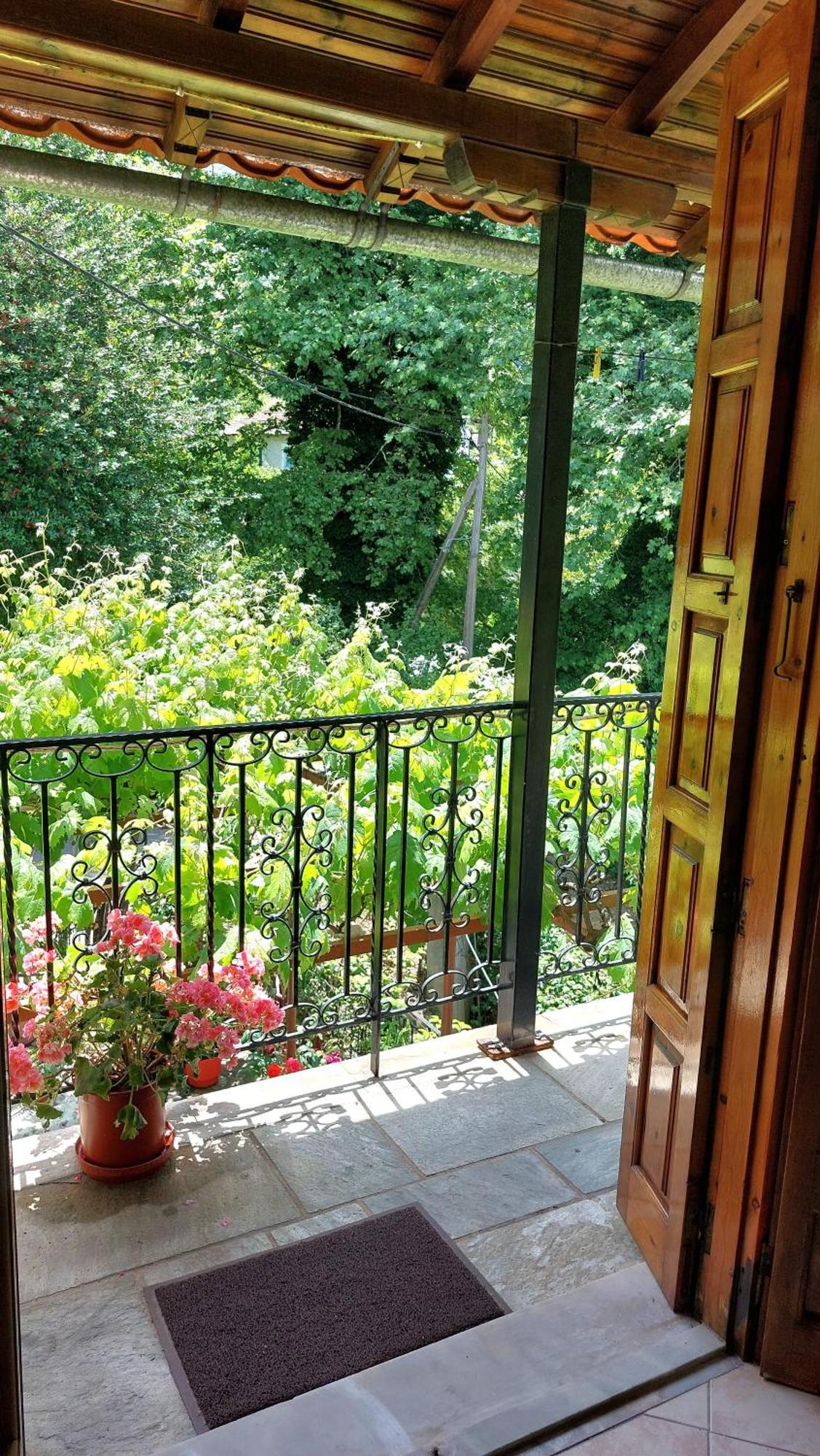 Λευκή Καμέλια Hotel Anilio Pelion Ngoại thất bức ảnh